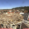 11_15-nest.jpg