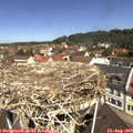 11_20-nest.jpg