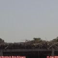 11_25-mast.jpg