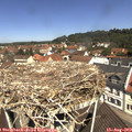 11_35-nest.jpg