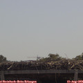 11_40-mast.jpg
