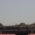 11_45-mast.jpg