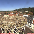11_45-nest.jpg