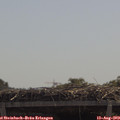 11_55-mast.jpg