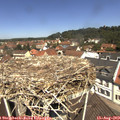 11_55-nest.jpg
