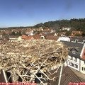 12_05-nest.jpg