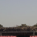 12_10-mast.jpg