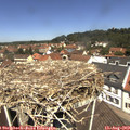 12_10-nest.jpg