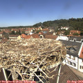 12_20-nest.jpg