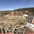 12_25-nest.jpg