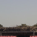 12_30-mast.jpg