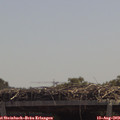 12_35-mast.jpg