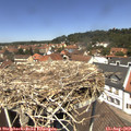 12_40-nest.jpg