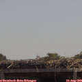 12_45-mast.jpg