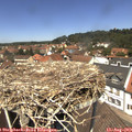 12_45-nest.jpg