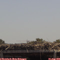 13_00-mast.jpg