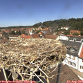 13_00-nest.jpg
