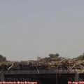 13_05-mast.jpg