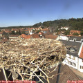 13_05-nest.jpg