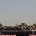 13_10-mast.jpg