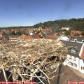 13_10-nest.jpg