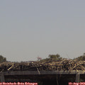 13_15-mast.jpg