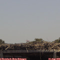 13_20-mast.jpg