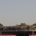 13_25-mast.jpg