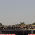 13_30-mast.jpg