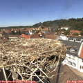 13_30-nest.jpg