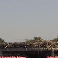 13_35-mast.jpg