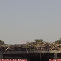 13_40-mast.jpg