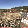 13_40-nest.jpg