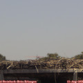 13_45-mast.jpg