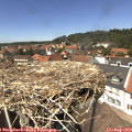 13_45-nest.jpg