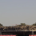13_50-mast.jpg