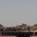 13_55-mast.jpg