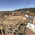 13_55-nest.jpg