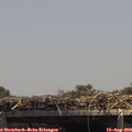 14_00-mast.jpg