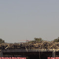 14_05-mast.jpg