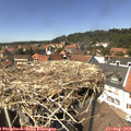 14_05-nest.jpg