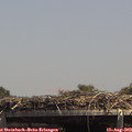 14_10-mast.jpg