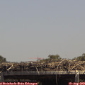 14_15-mast.jpg