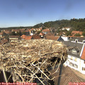 14_15-nest.jpg