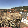 14_25-nest.jpg