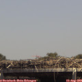 14_30-mast.jpg