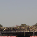 14_35-mast.jpg