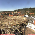 14_50-nest.jpg