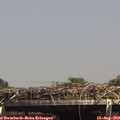 14_55-mast.jpg