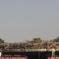 15_15-mast.jpg